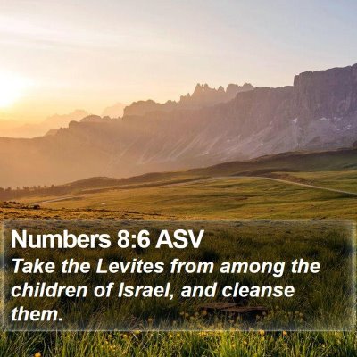 Numbers 8:6 ASV Bible Verse Image