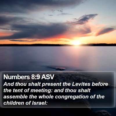Numbers 8:9 ASV Bible Verse Image