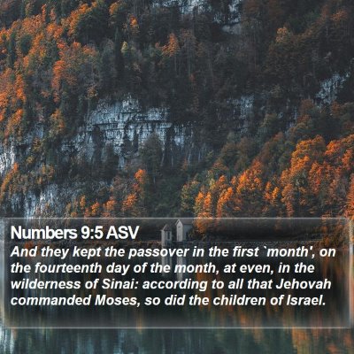 Numbers 9:5 ASV Bible Verse Image
