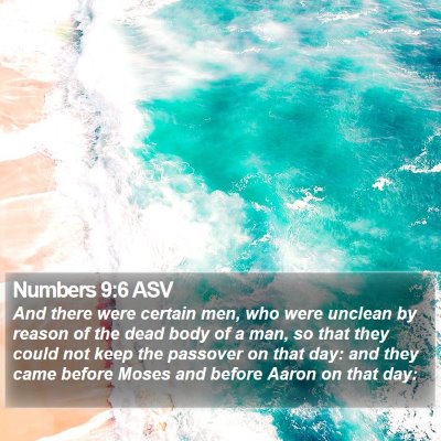 Numbers 9:6 ASV Bible Verse Image