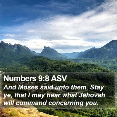 Numbers 9:8 ASV Bible Verse Image