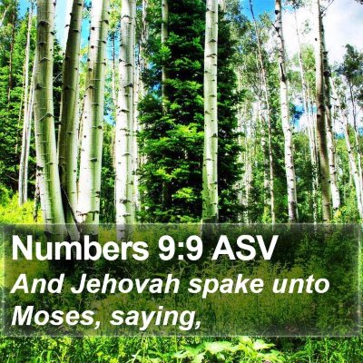 Numbers 9:9 ASV Bible Verse Image