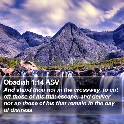 Obadiah 1:14 ASV Bible Verse Image