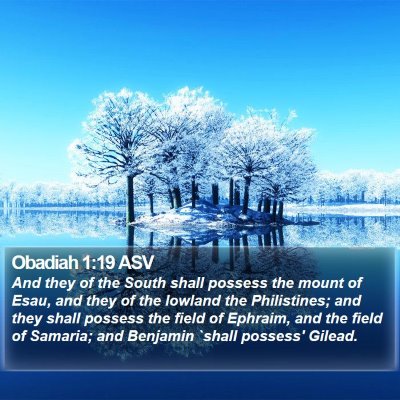 Obadiah 1:19 ASV Bible Verse Image