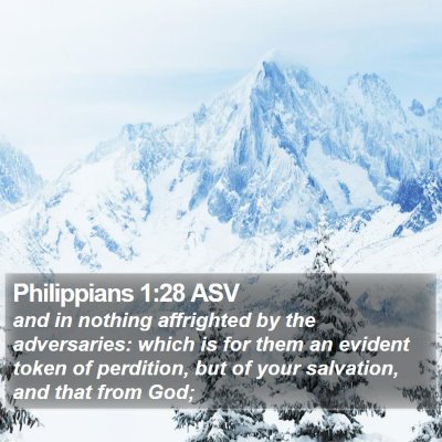 Philippians 1:28 ASV Bible Verse Image