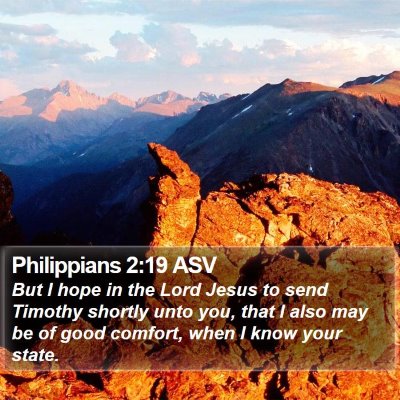 Philippians 2:19 ASV Bible Verse Image