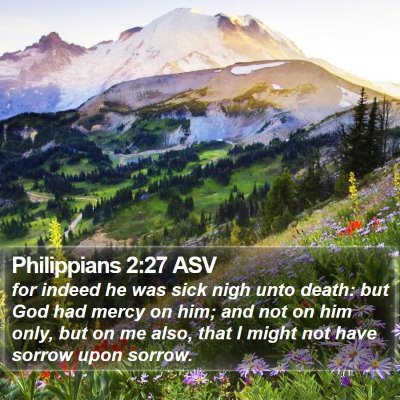 Philippians 2:27 ASV Bible Verse Image
