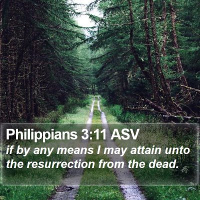 Philippians 3:11 ASV Bible Verse Image