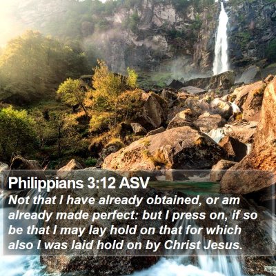 Philippians 3:12 ASV Bible Verse Image