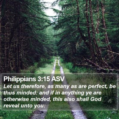 Philippians 3:15 ASV Bible Verse Image