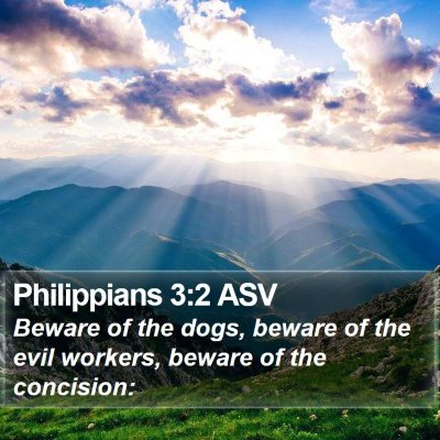 Philippians 3:2 ASV Bible Verse Image