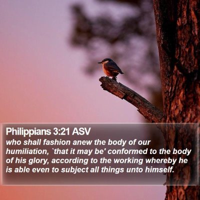 Philippians 3:21 ASV Bible Verse Image