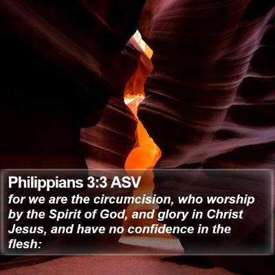 Philippians 3:3 ASV Bible Verse Image