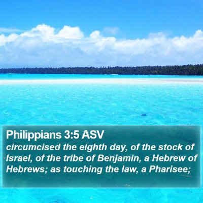 Philippians 3:5 ASV Bible Verse Image