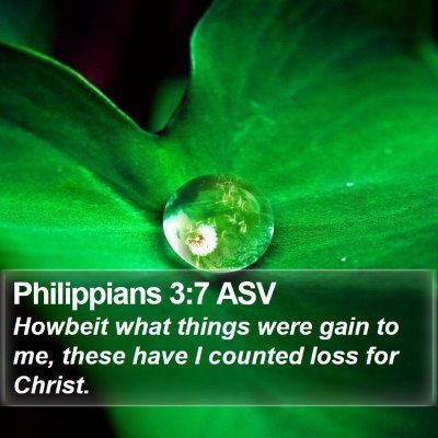 Philippians 3:7 ASV Bible Verse Image