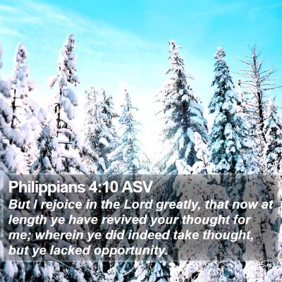 Philippians 4:10 ASV Bible Verse Image
