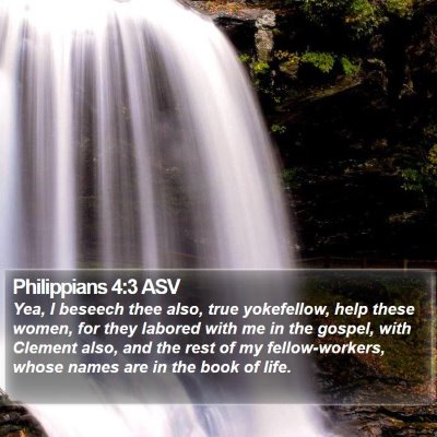 Philippians 4:3 ASV Bible Verse Image