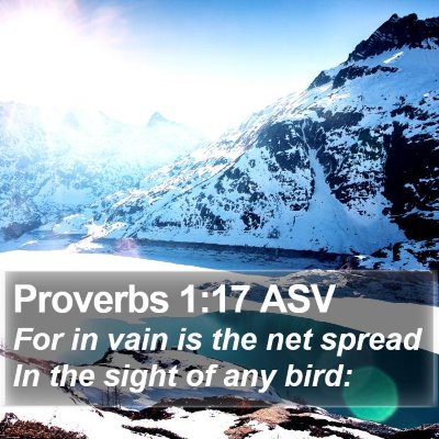 Proverbs 1:17 ASV Bible Verse Image