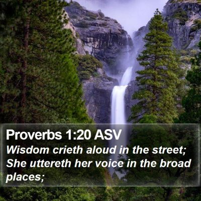 Proverbs 1:20 ASV Bible Verse Image