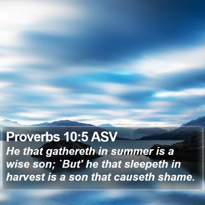 Proverbs 10:5 ASV Bible Verse Image