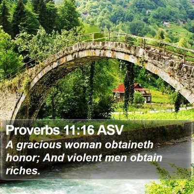 Proverbs 11:16 ASV Bible Verse Image