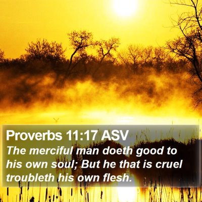 Proverbs 11:17 ASV Bible Verse Image