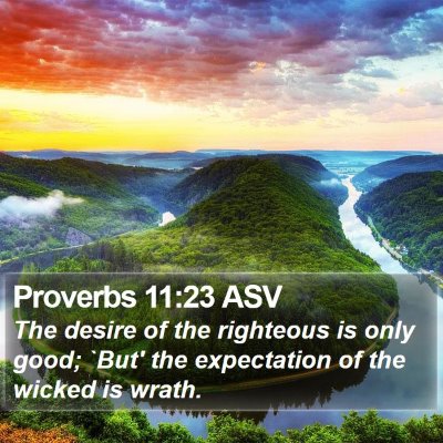 Proverbs 11:23 ASV Bible Verse Image