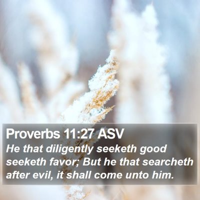 Proverbs 11:27 ASV Bible Verse Image