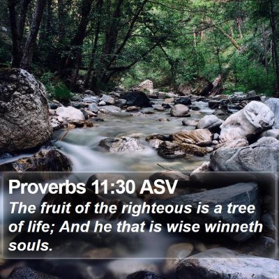 Proverbs 11:30 ASV Bible Verse Image
