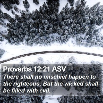 Proverbs 12:21 ASV Bible Verse Image
