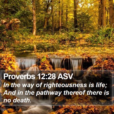 Proverbs 12:28 ASV Bible Verse Image