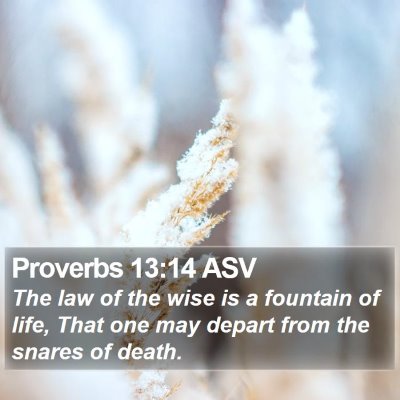 Proverbs 13:14 ASV Bible Verse Image