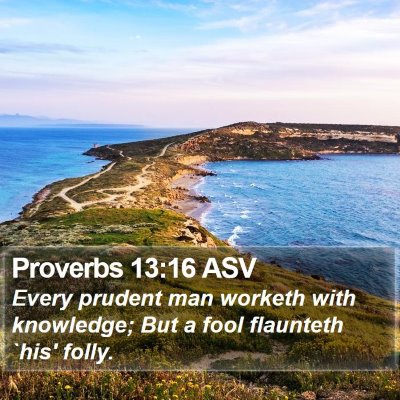 Proverbs 13:16 ASV Bible Verse Image