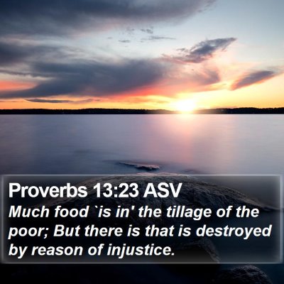 Proverbs 13:23 ASV Bible Verse Image