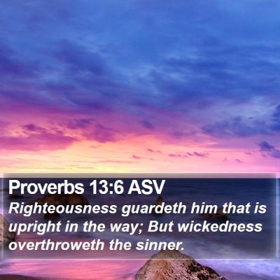 Proverbs 13:6 ASV Bible Verse Image