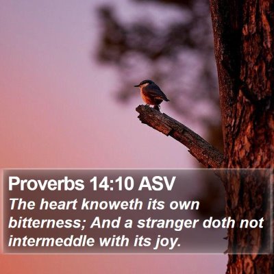 Proverbs 14:10 ASV Bible Verse Image