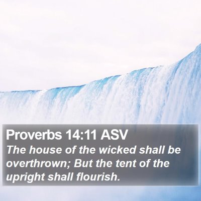 Proverbs 14:11 ASV Bible Verse Image