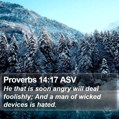 Proverbs 14:17 ASV Bible Verse Image