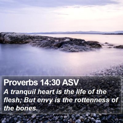 Proverbs 14:30 ASV Bible Verse Image