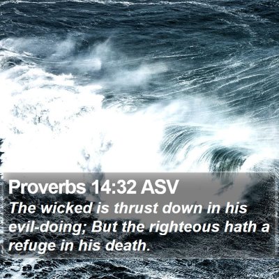 Proverbs 14:32 ASV Bible Verse Image