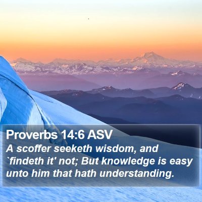 Proverbs 14:6 ASV Bible Verse Image