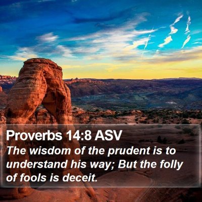 Proverbs 14:8 ASV Bible Verse Image