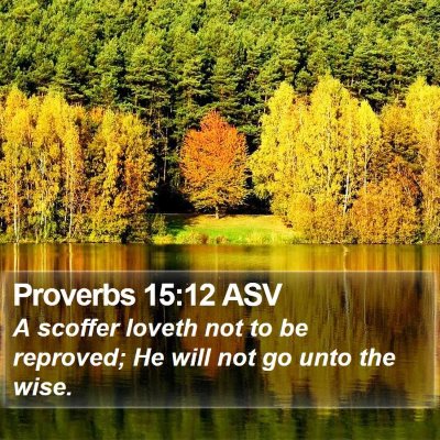Proverbs 15:12 ASV Bible Verse Image