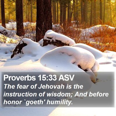 Proverbs 15:33 ASV Bible Verse Image