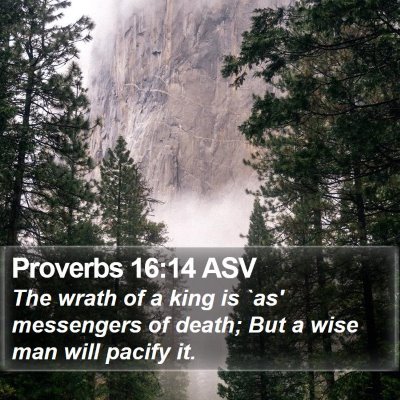 Proverbs 16:14 ASV Bible Verse Image