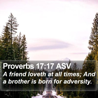 Proverbs 17:17 ASV Bible Verse Image