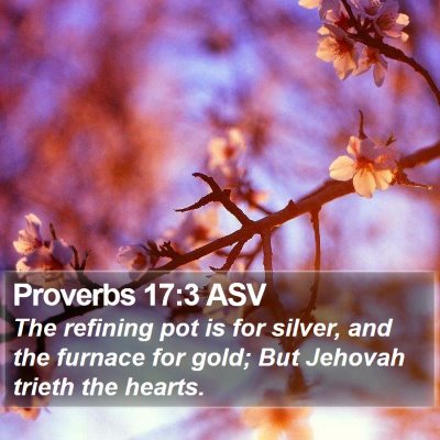 Proverbs 17:3 ASV Bible Verse Image