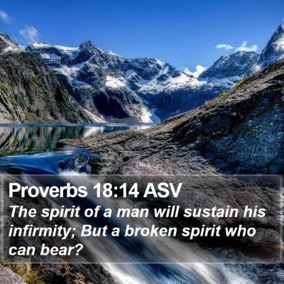 Proverbs 18:14 ASV Bible Verse Image