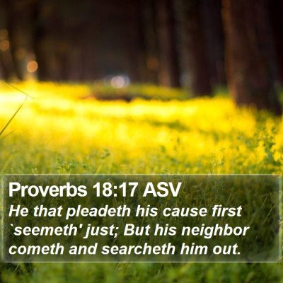 Proverbs 18:17 ASV Bible Verse Image