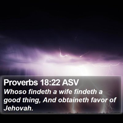 Proverbs 18:22 ASV Bible Verse Image